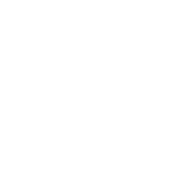 probox-logo-white